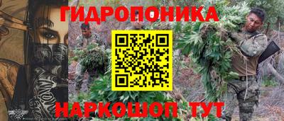 сатива Гатчина