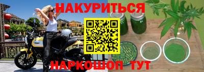 сатива Гатчина