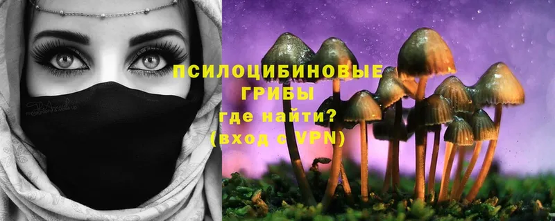 где купить наркоту  mega как зайти  Галлюциногенные грибы Magic Shrooms  Тюмень 