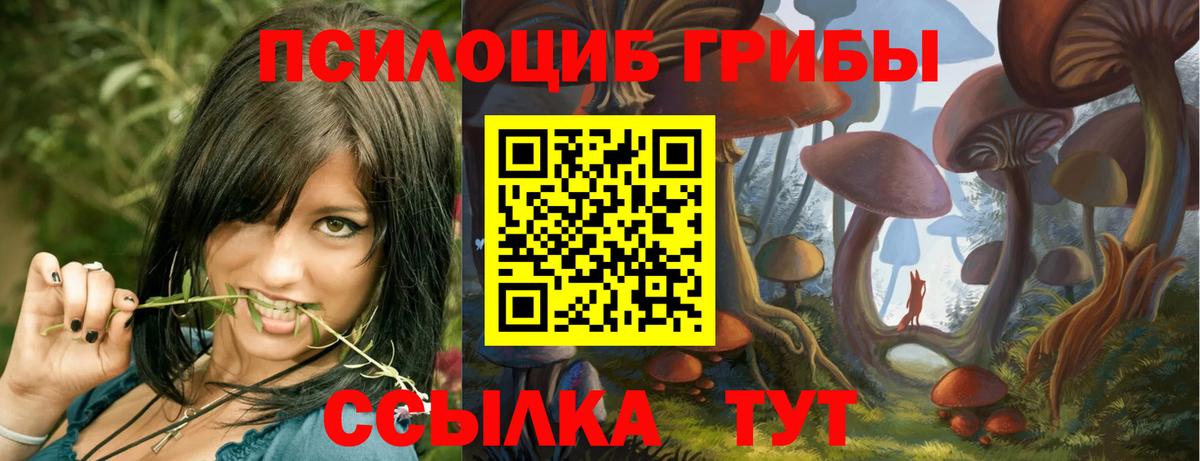 Галлюциногенные грибы GOLDEN TEACHER Тюмень