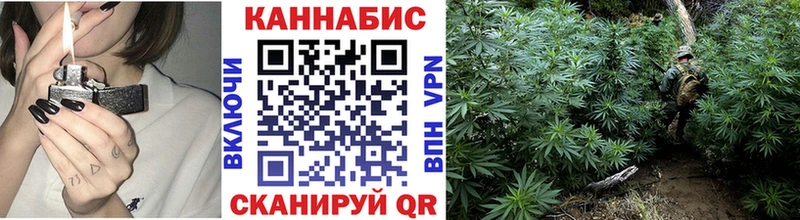 Канабис сатива  наркошоп  Тюмень 